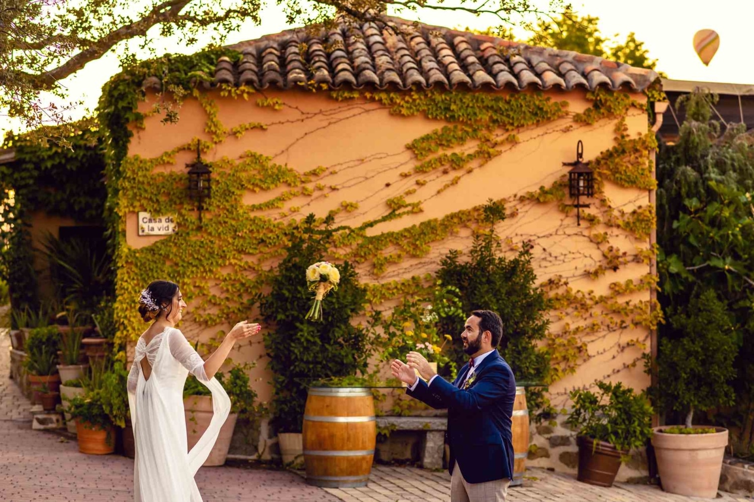 Fotos de Boda en Viñedos Cigarral Santa María ️ Fotógrafo ...